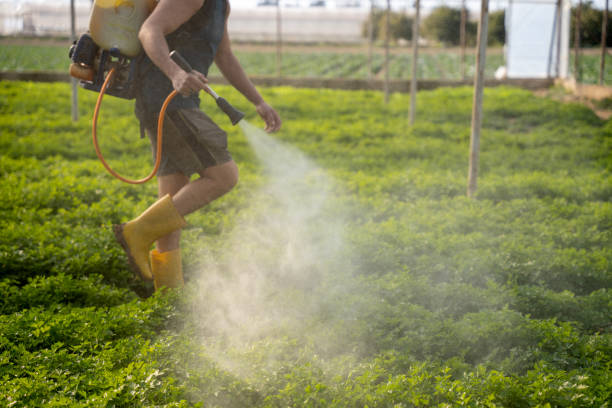 Best Residential Pest Control  in Mcdonald, OH