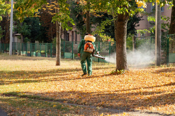 Best Mosquito Control Services  in Mcdonald, OH