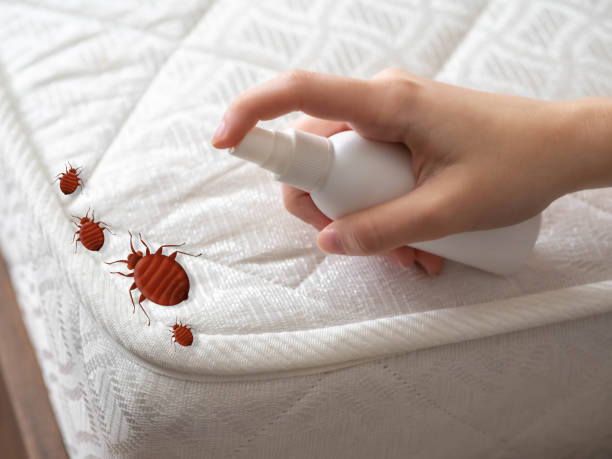 Best Pest Control Cost  in Mcdonald, OH