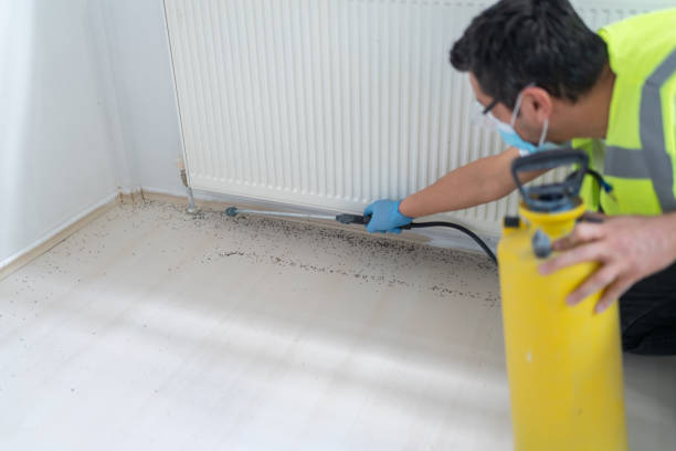 Best Cockroach Control Services  in Mcdonald, OH