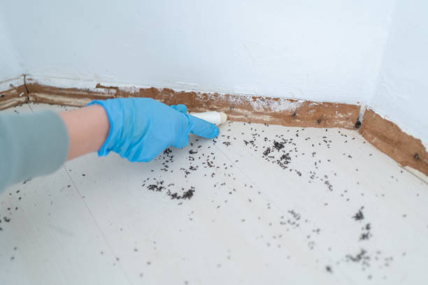 Pest Control for Restaurants in Mcdonald, OH